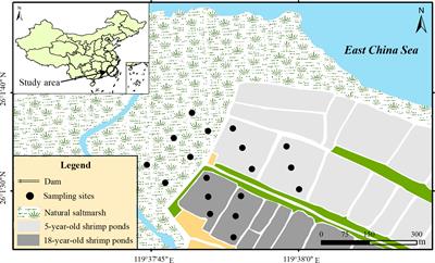 Effects of coastal marsh conversion to shrimp aquaculture ponds on sediment nitrogen fixation